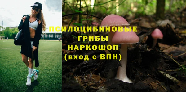 кокс Нея