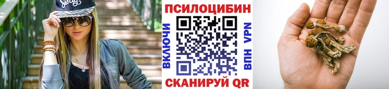 где купить наркоту  Кимовск  Галлюциногенные грибы Magic Shrooms 