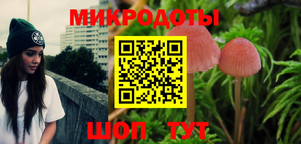Кимовск  Галлюциногенные грибы мицелий  Псилоцибиновые грибы мухоморы  Вход с VPN 